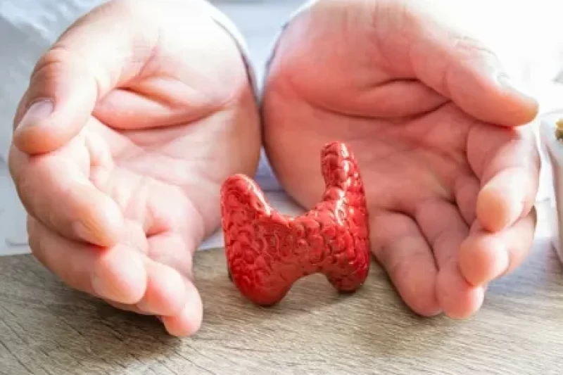 post sobre tireoide - perguntas e respostas
